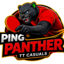 ping logo removebg preview